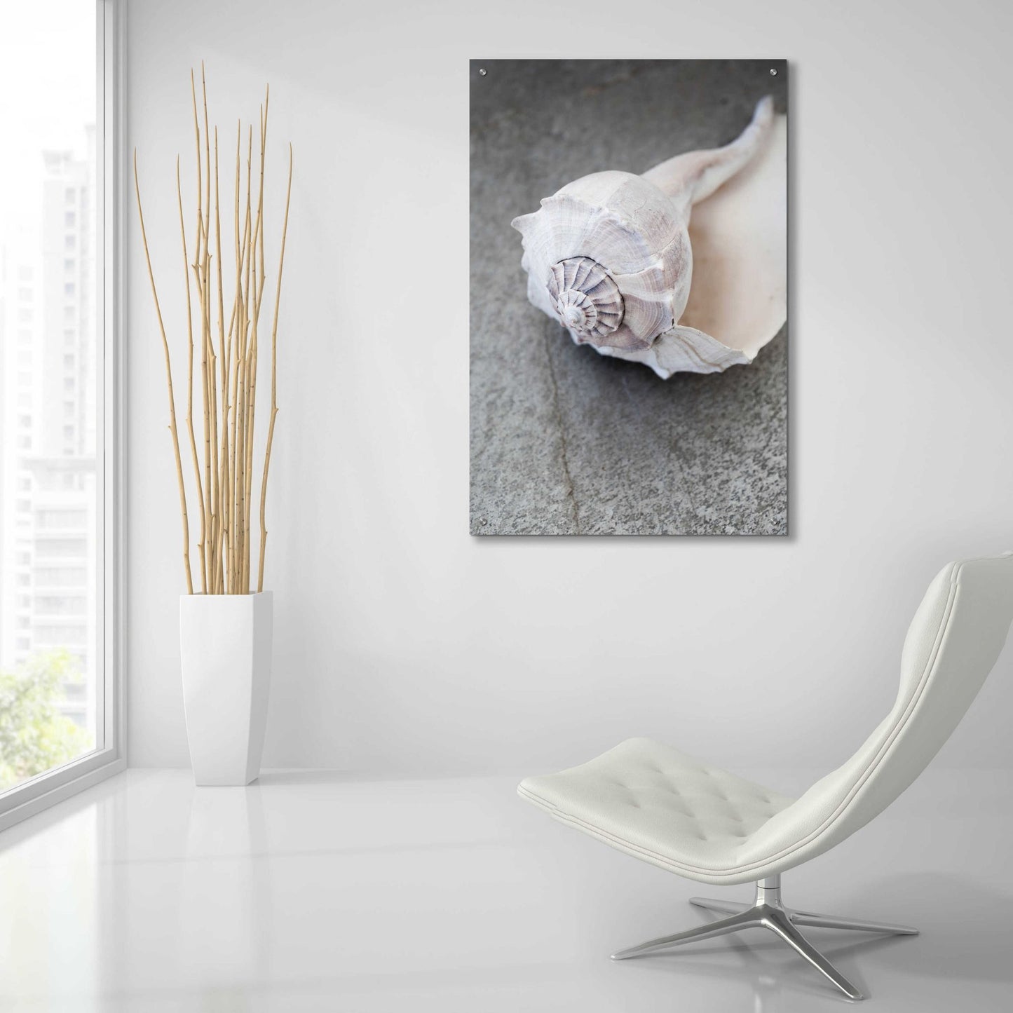 Epic Art 'Conch on Grey Stone' by Elena Ray, Acrylic Glass Wall Art,24x36