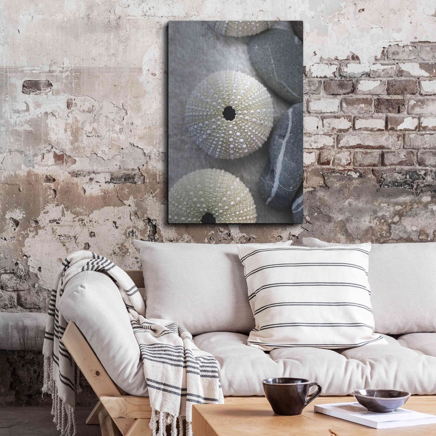 Luxe Metal Art 'Sea Urchins' by Elena Ray, Metal Wall Art,24x36