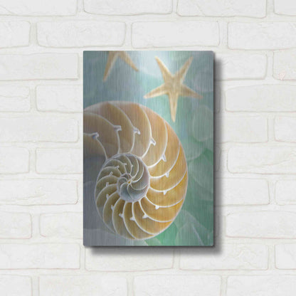 Luxe Metal Art 'Seaglass 2' by Alan Blaustein Metal Wall Art,12x16