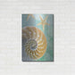 Luxe Metal Art 'Seaglass 2' by Alan Blaustein Metal Wall Art,24x36