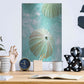 Luxe Metal Art 'Seaglass 4' by Alan Blaustein Metal Wall Art,12x16