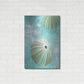 Luxe Metal Art 'Seaglass 4' by Alan Blaustein Metal Wall Art,24x36