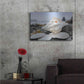 Luxe Metal Art 'Crescent Beach Shells 11' by Alan Blaustein Metal Wall Art,36x24