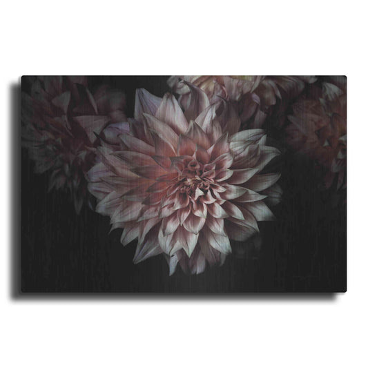 Luxe Metal Art 'Peach Dahlias' by Elise Catterall, Metal Wall Art