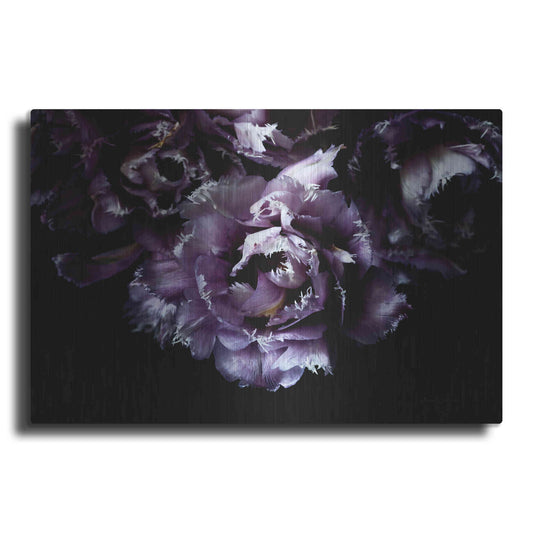 Luxe Metal Art 'Purple Fringed Tulips II' by Elise Catterall, Metal Wall Art