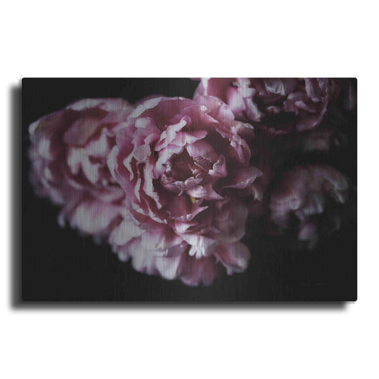 Luxe Metal Art 'Pink Double Tulips' by Elise Catterall, Metal Wall Art