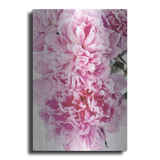 Luxe Metal Art 'Pink Peony Cluster' by Elise Catterall, Metal Wall Art