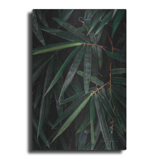 Luxe Metal Art 'Palm Detail' by Elise Catterall, Metal Wall Art