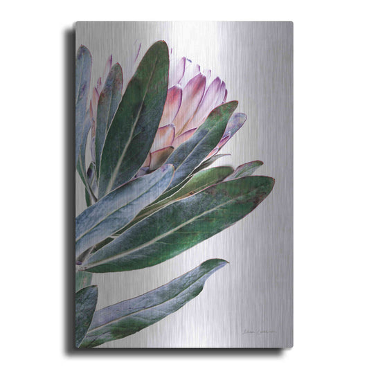 Luxe Metal Art 'Protea in Leaf' by Elise Catterall, Metal Wall Art