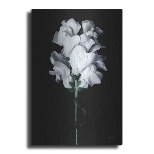 Luxe Metal Art 'White Snapdragon' by Elise Catterall, Metal Wall Art