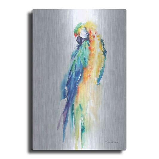 Luxe Metal Art 'Colorful Parrots II' by Alan Majchrowicz, Metal Wall Art