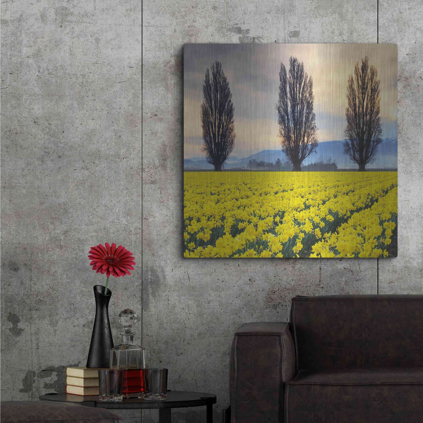 Luxe Metal Art 'Skagit Valley Daffodils II' by Alan Majchrowicz,Metal Wall Art,36x36