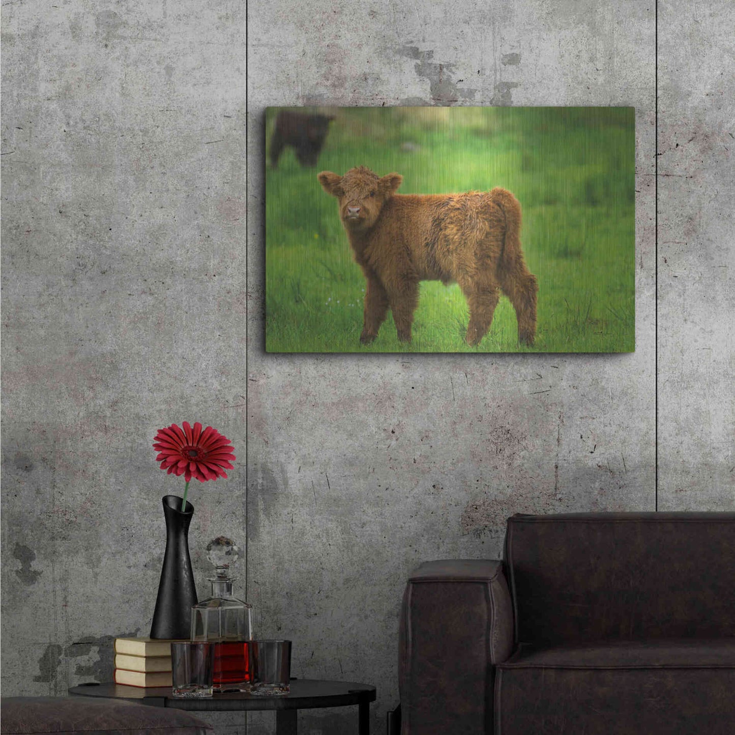 Luxe Metal Art 'Scottish Highland Cattle X' by Alan Majchrowicz,Metal Wall Art,36x24