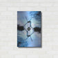 Luxe Metal Art ' Bruges 280' by Robin Vandenabeele, Metal Wall Art,16x24