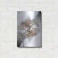 Luxe Metal Art ' Bruges 263' by Robin Vandenabeele, Metal Wall Art,16x24