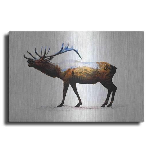 Luxe Metal Art 'Rocky Mountain Elk' by Davies Babies, Metal Wall Art