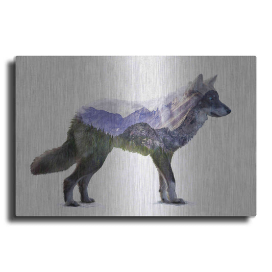 Luxe Metal Art 'Rocky Mountain Grey Wolf' by Davies Babies, Metal Wall Art