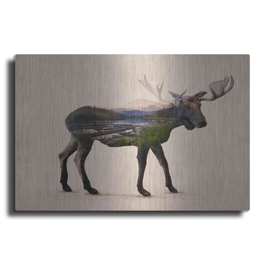 Luxe Metal Art 'The Alaskan Bull Moose' by Davies Babies, Metal Wall Art