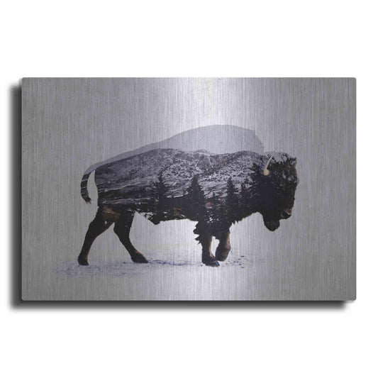 Luxe Metal Art 'The American Bison' by Davies Babies, Metal Wall Art
