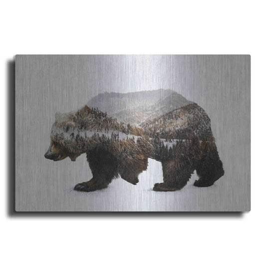 Luxe Metal Art 'The Kodiak Brown Bear' by Davies Babies, Metal Wall Art