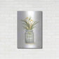 Luxe Metal Art 'Grow Peace Crocus' by Annie LaPoint, Metal Wall Art,24x36