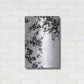 Luxe Metal Art 'Black Leaves' by Design Fabrikken, Metal Wall Art,16x24