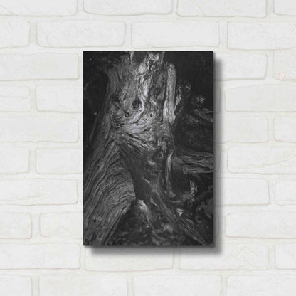 Luxe Metal Art 'Black Wood' by Design Fabrikken, Metal Wall Art,12x16