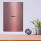 Luxe Metal Art 'Pink Flight' by Design Fabrikken, Metal Wall Art,12x16