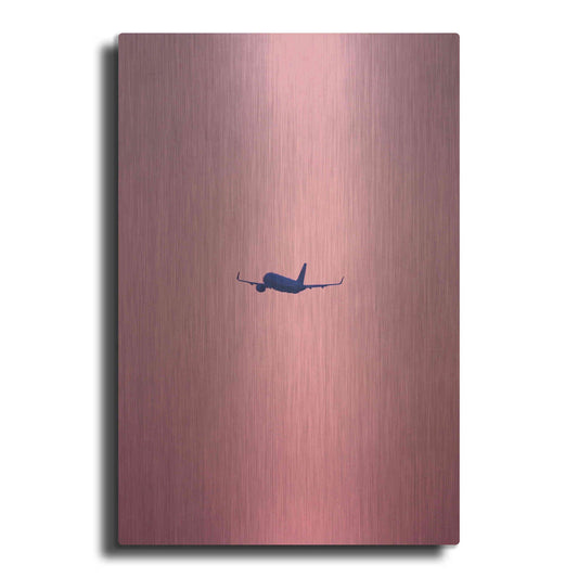 Luxe Metal Art 'Pink Flight' by Design Fabrikken, Metal Wall Art
