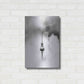 Luxe Metal Art 'Polaroid' by Design Fabrikken, Metal Wall Art,16x24