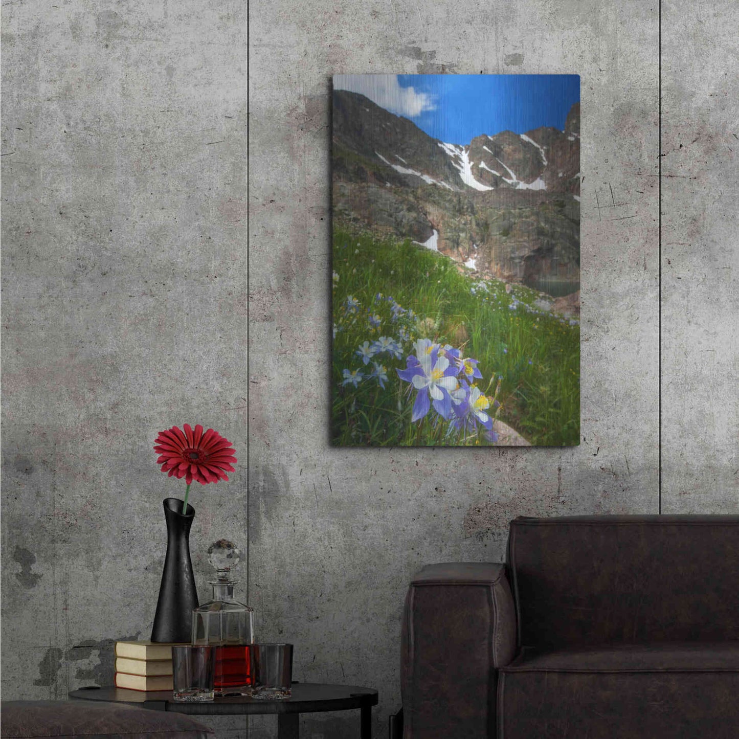 Luxe Metal Art 'Alpine Columbine - Rocky Mountain National Park' by Darren White, Metal Wall Art,24x36