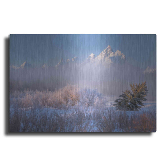 Luxe Metal Art 'Frosted and Falling - Grand Teton National Park' by Darren White, Metal Wall Art