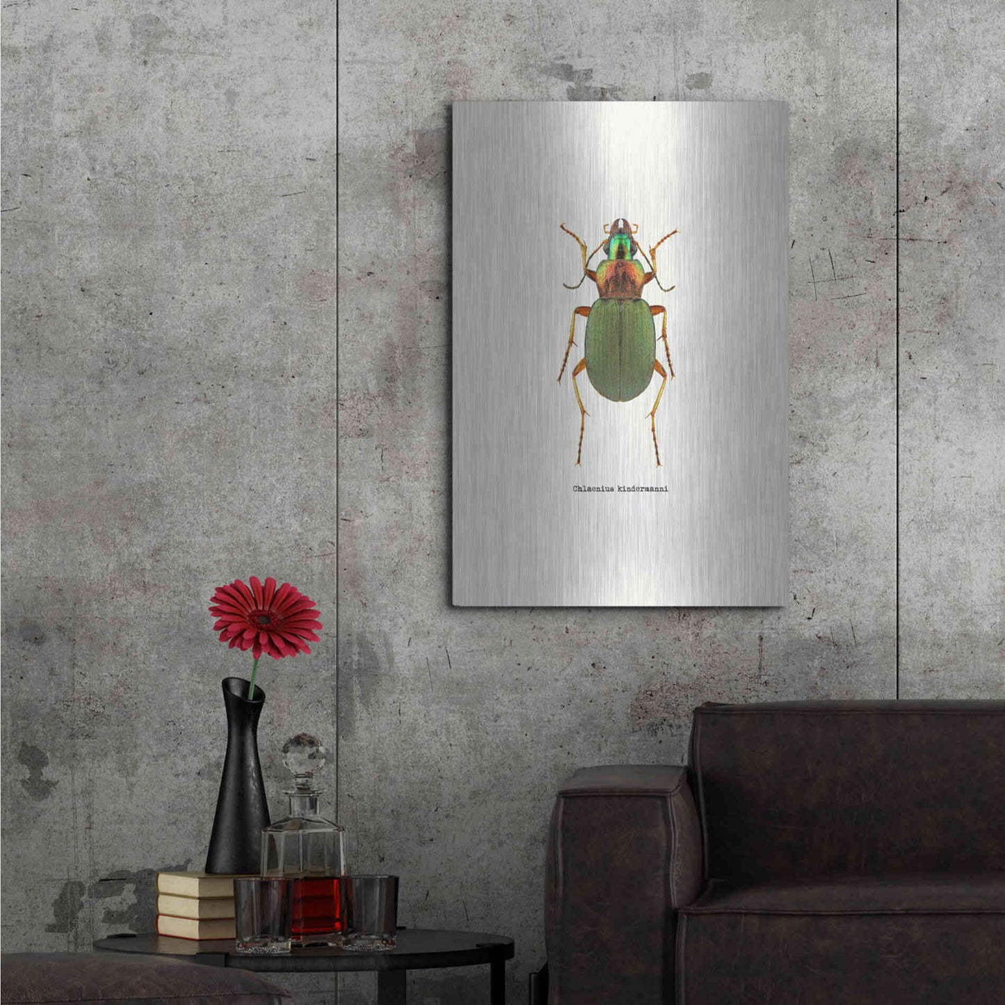 Luxe Metal Art 'Beetle Green' by GraphINC, Metal Wall Art,24x36