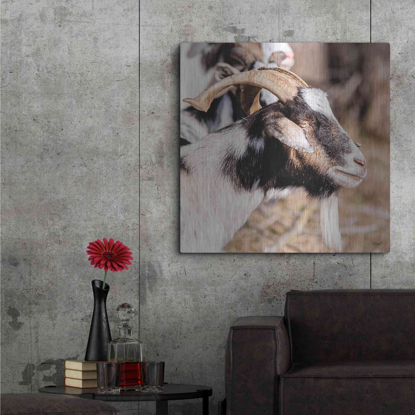 Luxe Metal Art 'Bearded Side Goat' by Donnie Quillen Metal Wall Art,36x36