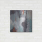 Luxe Metal Art 'Gray Forest I' by Kathy Ferguson, Metal Wall Art,24x24