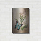 Luxe Metal Art 'Butterfly Botanical II' by Debra Van Swearingen, Metal Wall Art,16x24