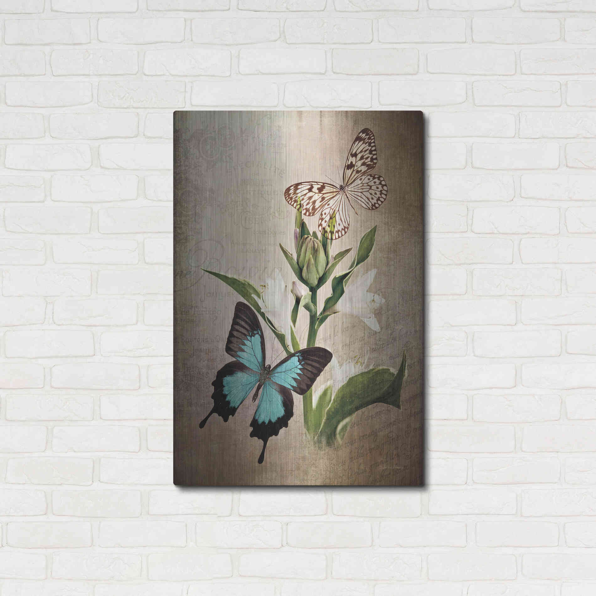 Luxe Metal Art 'Butterfly Botanical II' by Debra Van Swearingen, Metal Wall Art,24x36