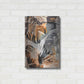 Luxe Metal Art 'Exotic Journey Orange' by Andrea Haase Metal Wall Art,16x24