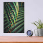Luxe Metal Art 'Beauty Amongst Palms 2' by Ashley Aldridge Metal Wall Art,12x16