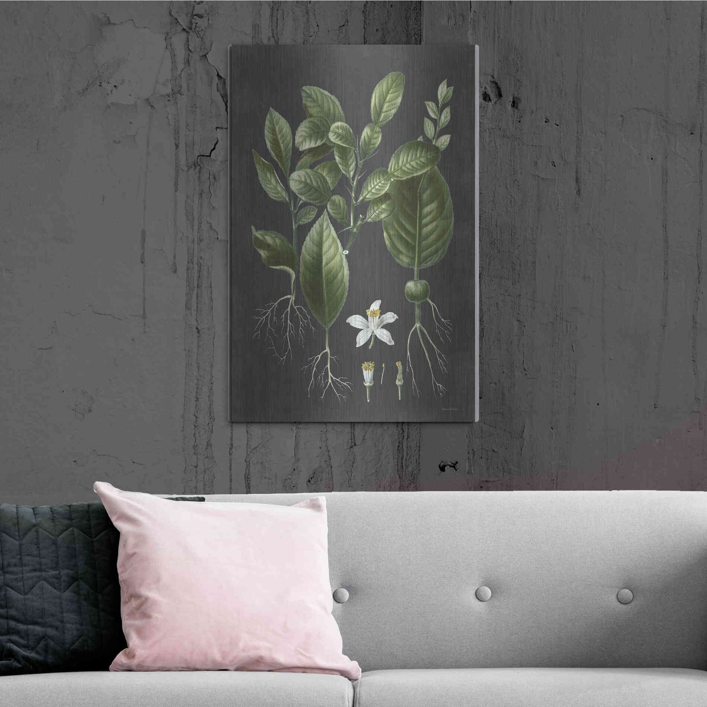 Luxe Metal Art 'Citrus Botanical' by Lettered & Lined, Metal Wall Art,24x36