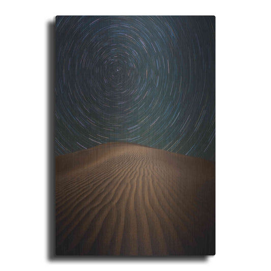 Luxe Metal Art 'Alone on The Dunes' by Darren White, Metal Wall Art