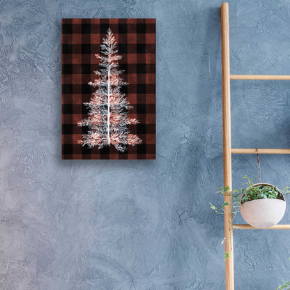 Epic Art 'Buffalo Pine Red' by House Fenway, Acrylic Glass Wall Art,16x24