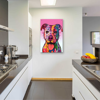 Epic Art 'Cherish The Pitbull' by Dean Russo, Acrylic Glass Wall Art,24x36