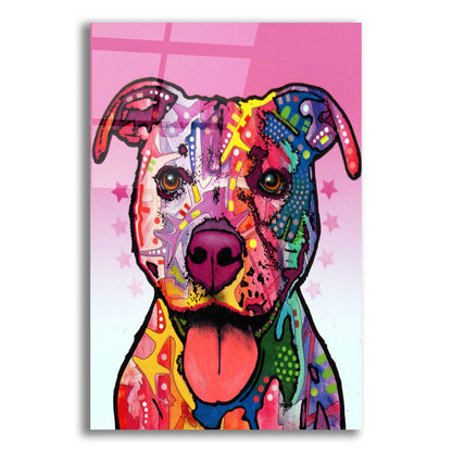 Epic Art 'Cherish The Pitbull' by Dean Russo, Acrylic Glass Wall Art