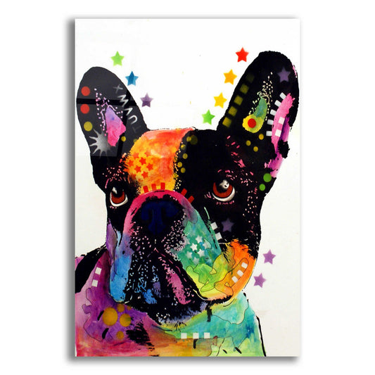 Epic Art 'French Bulldog' by Dean Russo, Acrylic Glass Wall Art