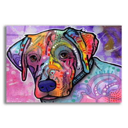 Epic Art 'Petunia' by Dean Russo, Acrylic Glass Wall Art,24x16