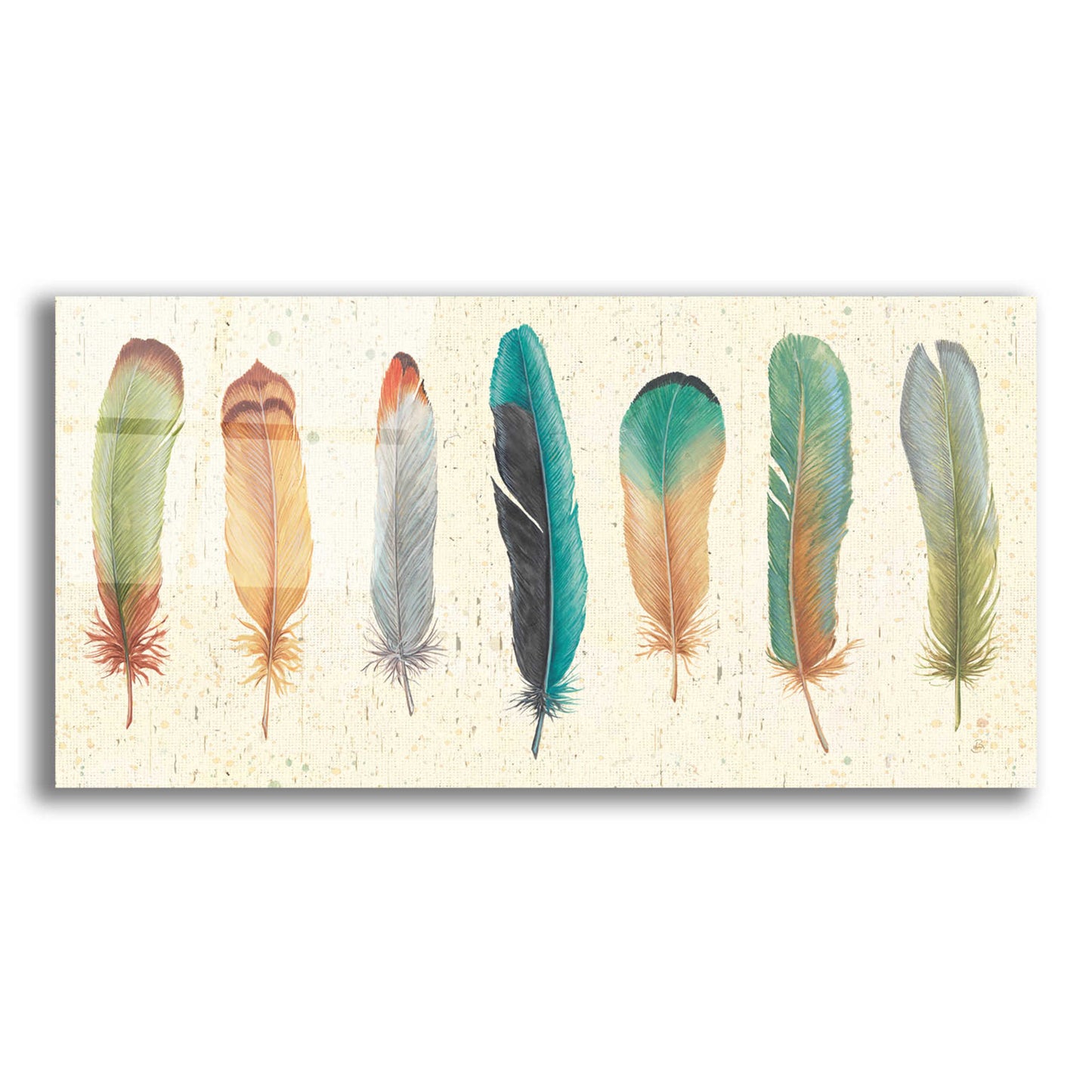 Epic Art 'Feather Tales VII' by Daphne Brissonnet, Acrylic Glass Wall Art,24x12x1.1x0,40x20x1.74x0,60x30x1.74x0