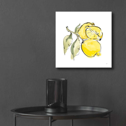 Epic Art 'Lemon Still Life II' by Chris Paschke, Acrylic Glass Wall Art,12x12