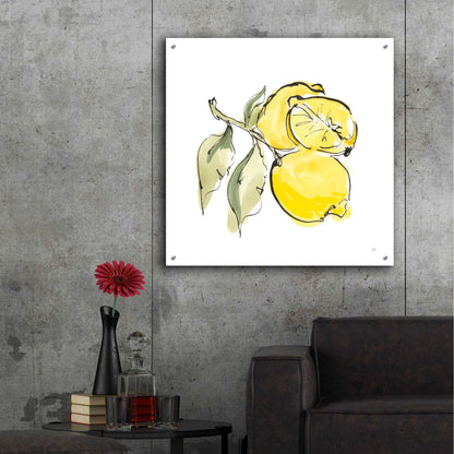 Epic Art 'Lemon Still Life II' by Chris Paschke, Acrylic Glass Wall Art,36x36