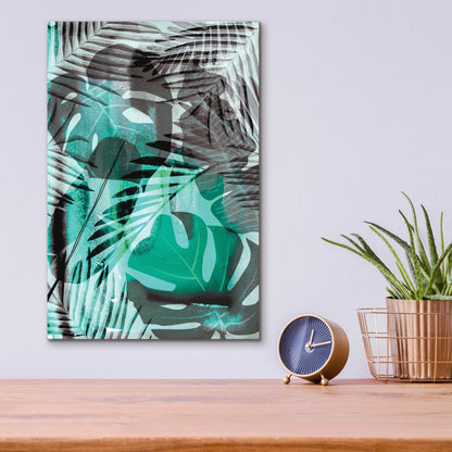 Epic Art 'Exotic Night Green' by Andrea Haase Acrylic Glass Wall Art,12x16
